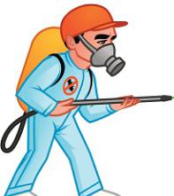 شركة مكافحة حشرات بجدة 